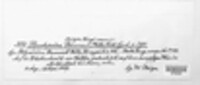 Pseudopeziza ranunculi image